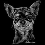 Chihuahua Womens Scoop Neck T-Shirt