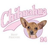 Chihuahua Puppy Womens Scoop Neck T-Shirt