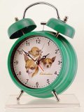 Chihuahua Hand Painted Vintage Style Alarm Clock