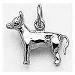 Dog, Chihuahua Charm