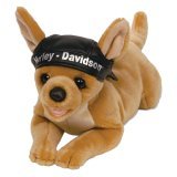 Harley Davidson Chihuahua