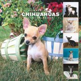 Chihuahuas 365 Days 2007 Calendar