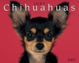 Just Chihuahuas 2007 Calendar