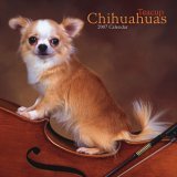 Teacup Chihuahuas 2007 Calendar
