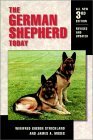 The German Shepherd Today