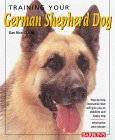 Training Your German Shepherd