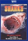 Great White The Ultimate Guide To Sharks DVD