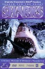 Search for the Great Sharks (Large Format) DVD